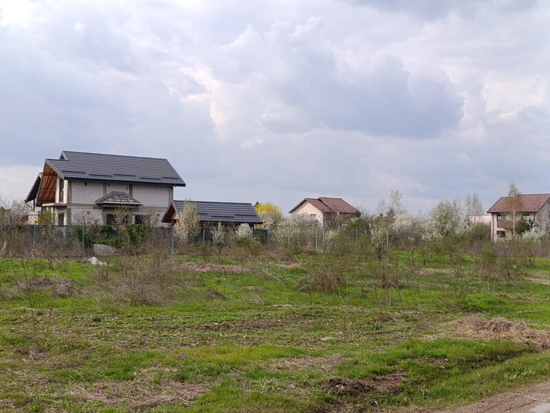 Domnesti,