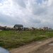 Domnesti,